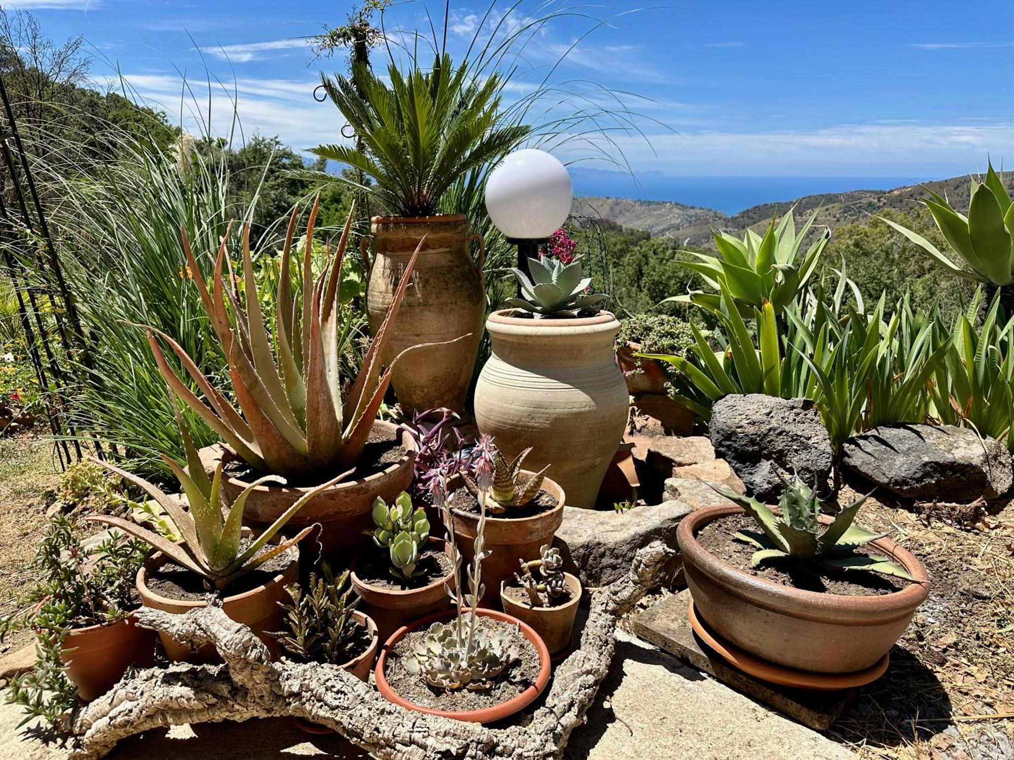 Cefalu Forest Hideout Exteriör bild